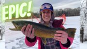 Ice fishing for Brown Trout! || Women`s Fishing Network S1E13