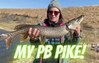 PB Pike Monster!