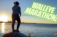 Walleye Marathon!