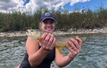 Fishing For Brown Trout On Red Deer River