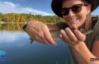Fall Pike FIshing | Lake Fishing