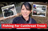 Fishing For Cutthroat Trout